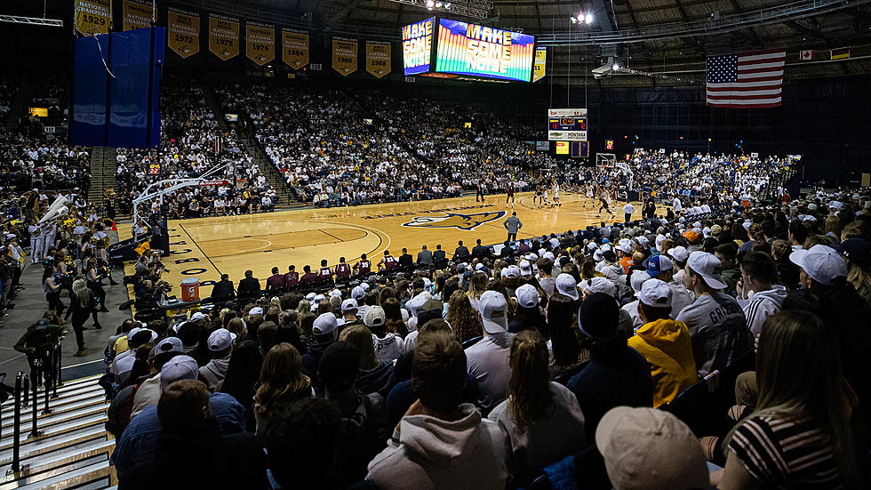 Montana State Postpones Weekend Basketball Games Due to COVID