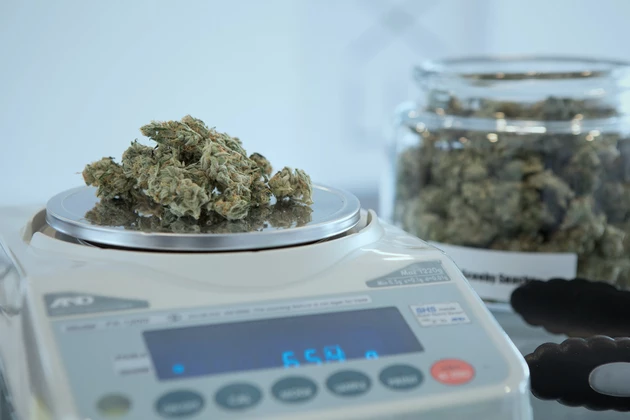 Montana Cannabis Sales Top $20 Million in January