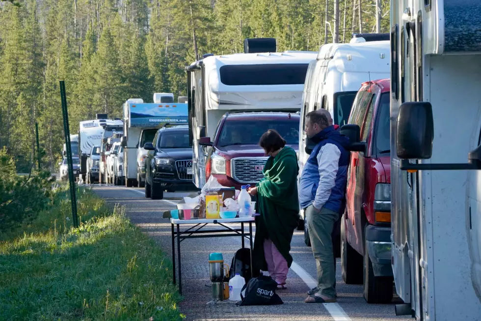 [WATCH] Viral Video Shows How Tourists are Ruining Yellowstone