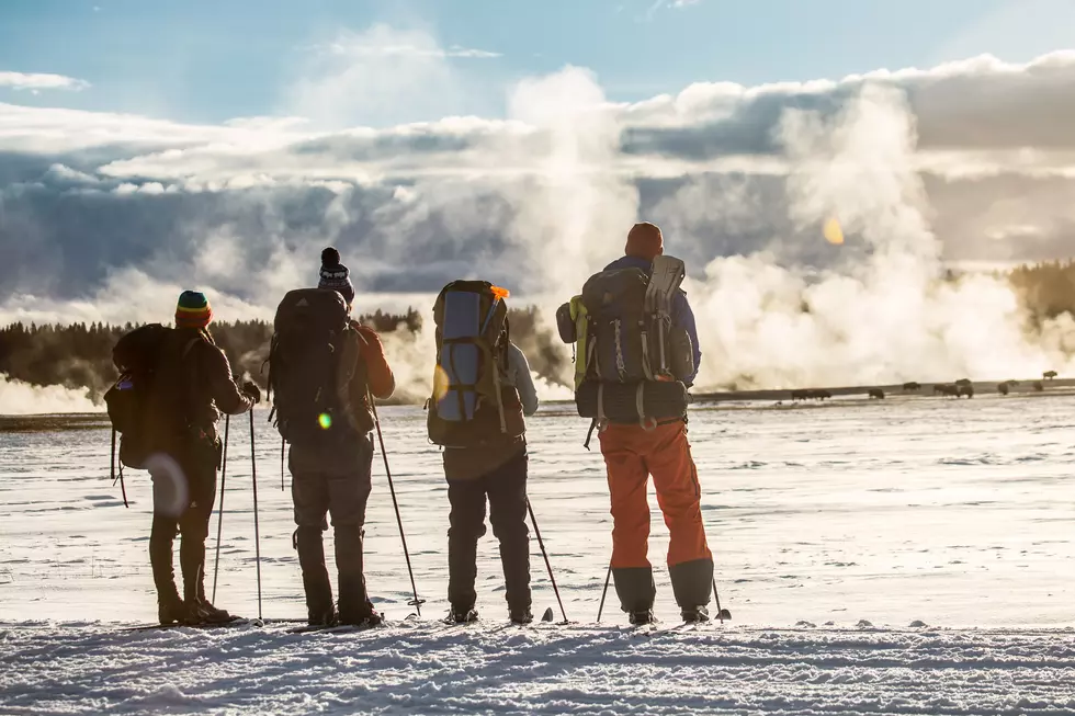 8 Things You Need to Know About Yellowstone's Winter Season