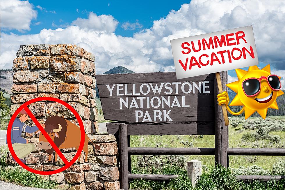 10 Important Things You Need to Know About Visiting Yellowstone