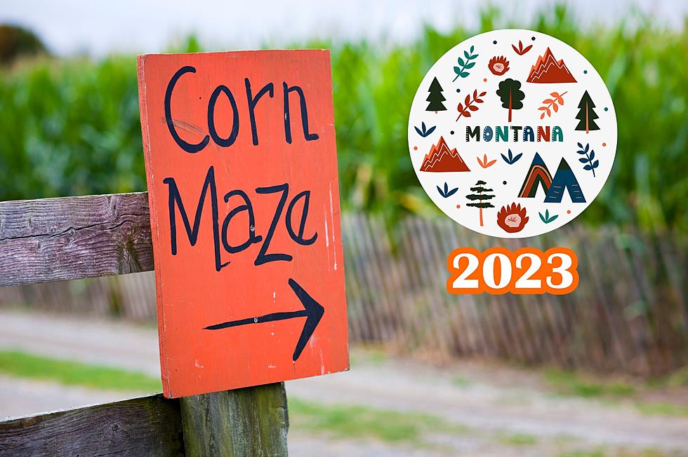 Popular Montana Corn Maze Reveals New 'Farmin' Design For 2023