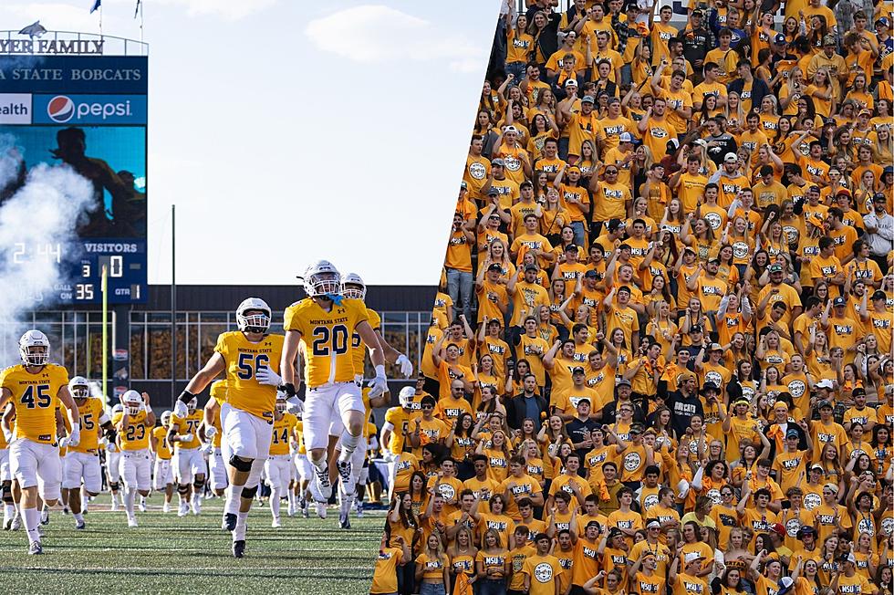 Go Cats! How to Score Free Tickets to Saturday&#8217;s Gold Rush Game