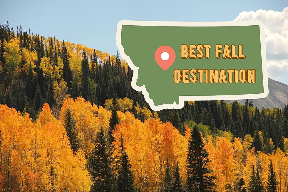 One Of America's Best Fall Destinations Is This Montana City
