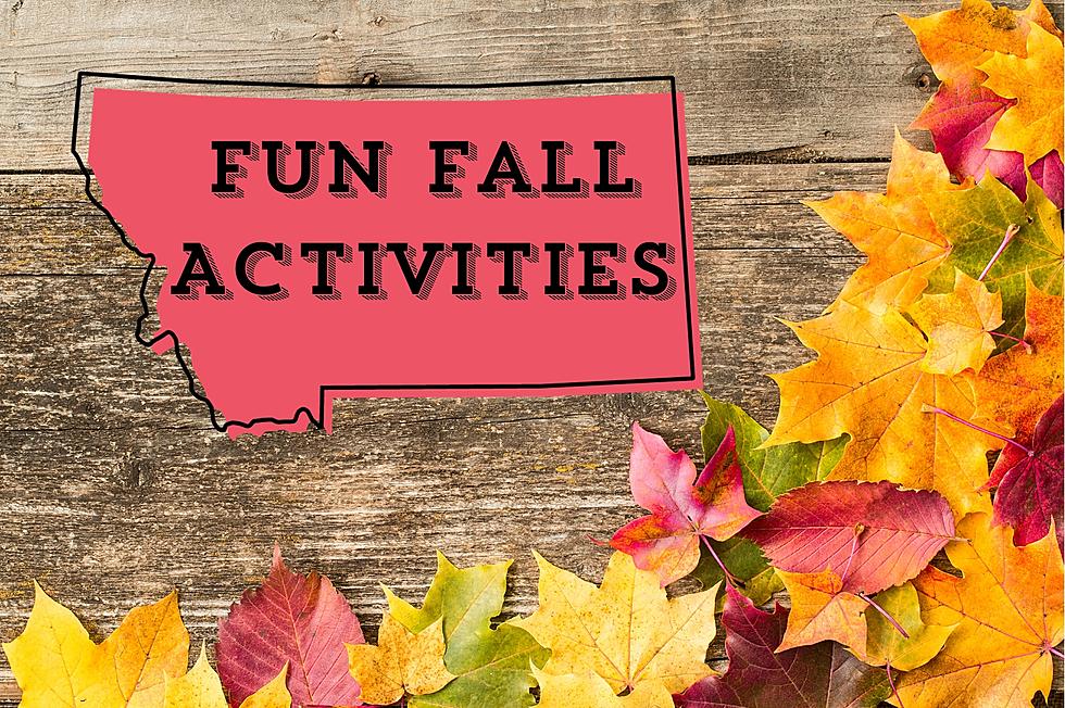 10 Popular Fall Activities That You’ll Love in Montana