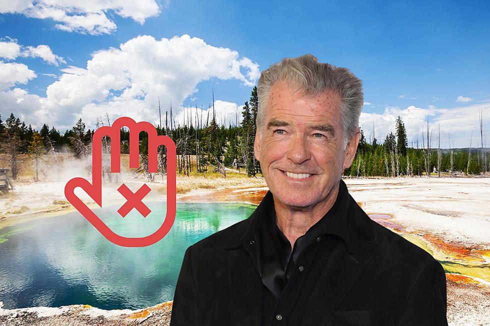 From Fame to Shame: Popular Celebrity Gets Fined in Yellowstone