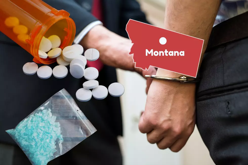 This Is The Largest Drug Bust In Montana History