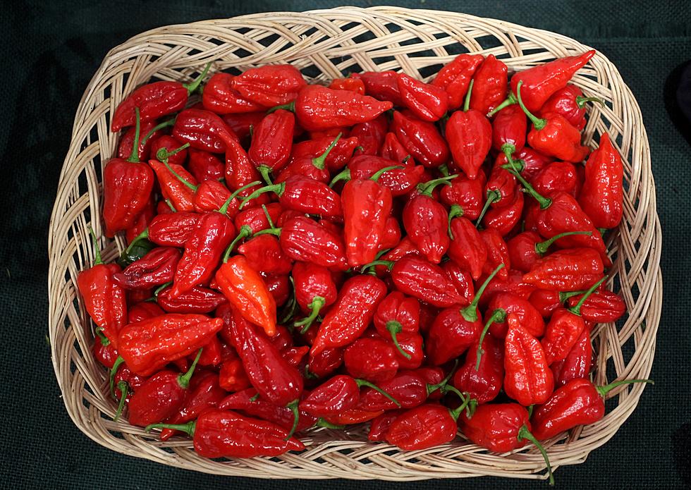 New chili pepper crowned world’s hottest!