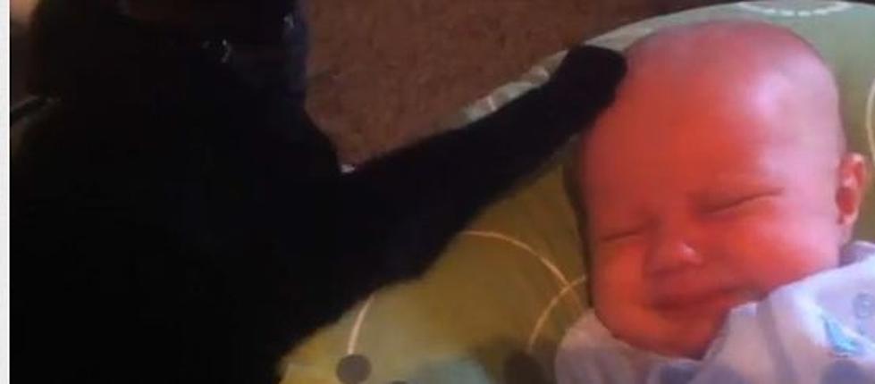 CUTE!  Kitty Strokes Crying Baby To Sleep [VIDEO]