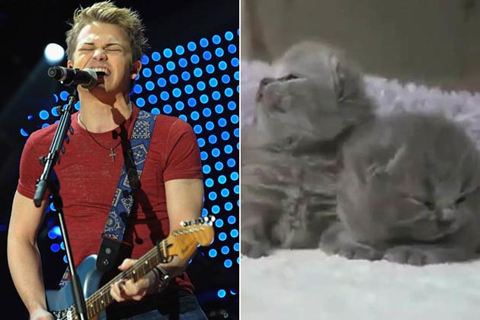 Cute Kittens Want You to Vote for Hunter Hayes as 2012 ACM Awards New Artist of the Year