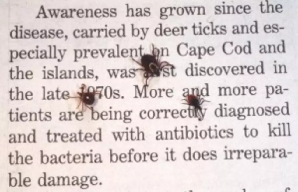 Ticks Season Is Coming: They’ll Bug You This Spring