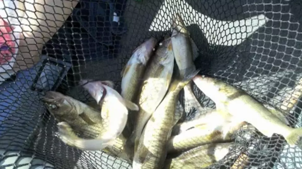 Do You Want MN Fishing Opener A Week Early? [POLL]