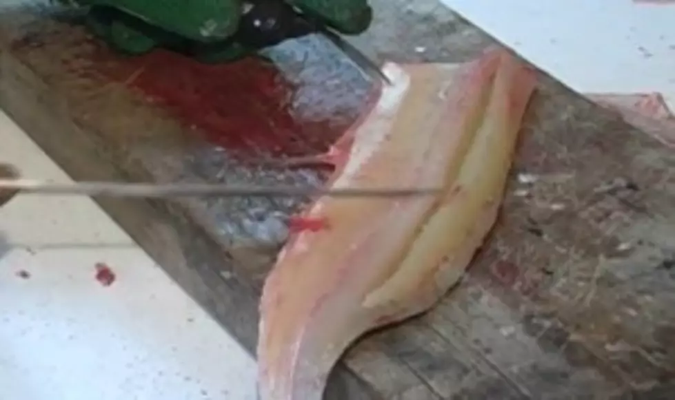 Don&#8217;t Throw Back Your Northerns, Here&#8217;s How You Get The Bones Out [VIDEO]