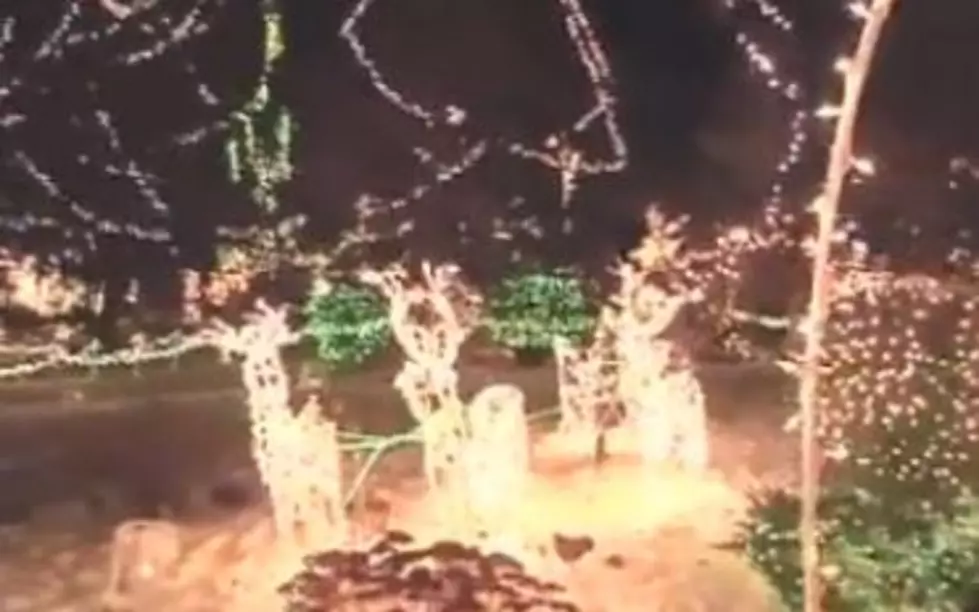 Park Point is Lit Up for the Holidays [VIDEO]