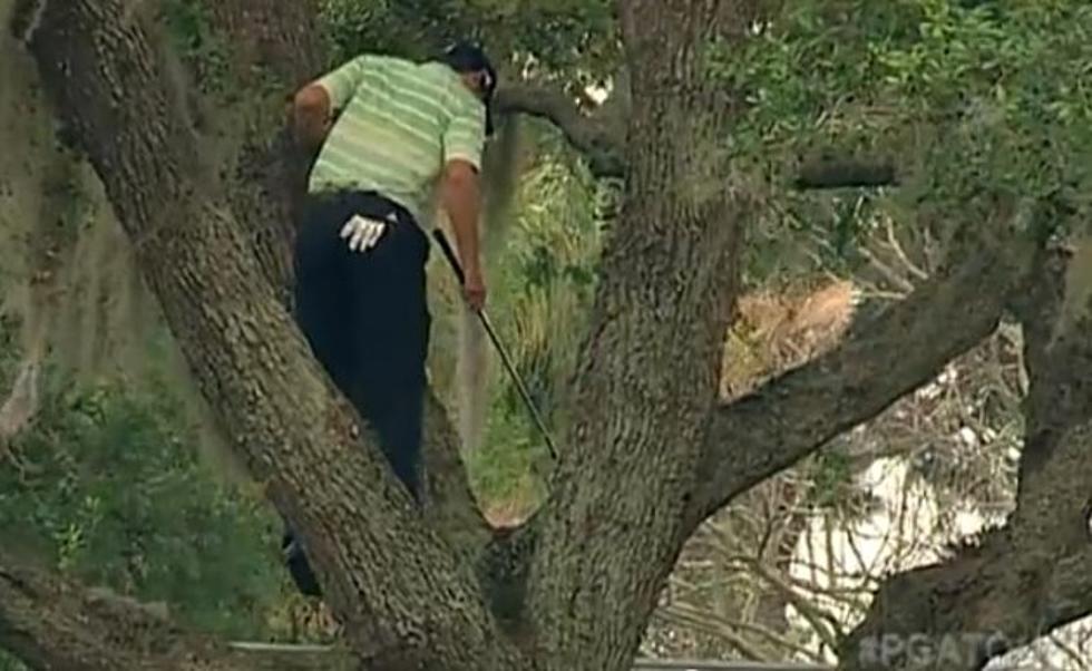 Sergio Garcia Climbs a Tree and Nicholas Thompson Golfs Barefoot at the Arnold Palmer Invitational [VIDEOS]