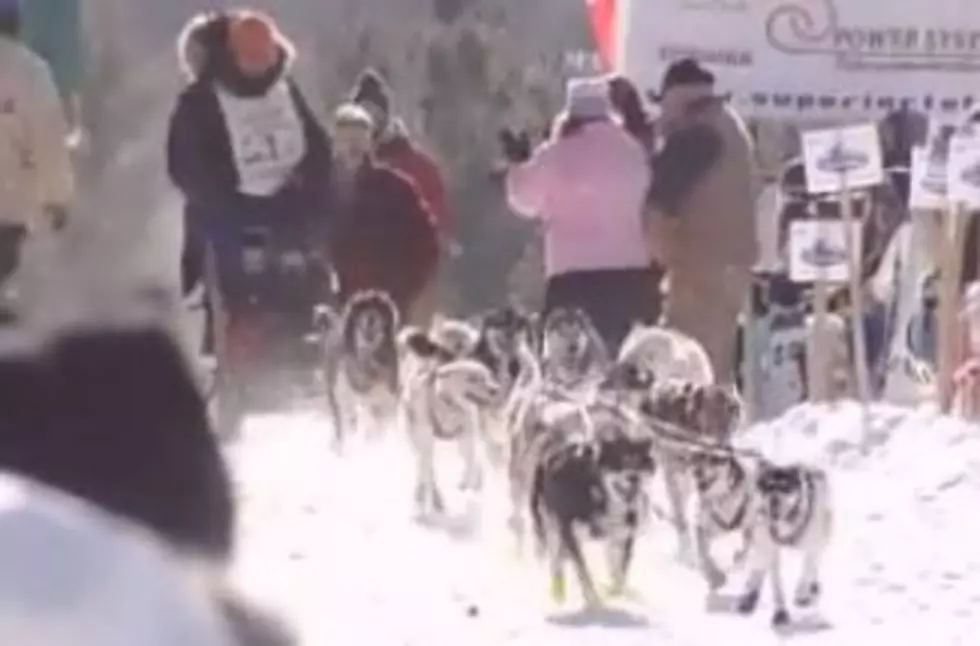 2014 John Beargrease Sled Dog Marathon Will Be Held Afterall [VIDEO]