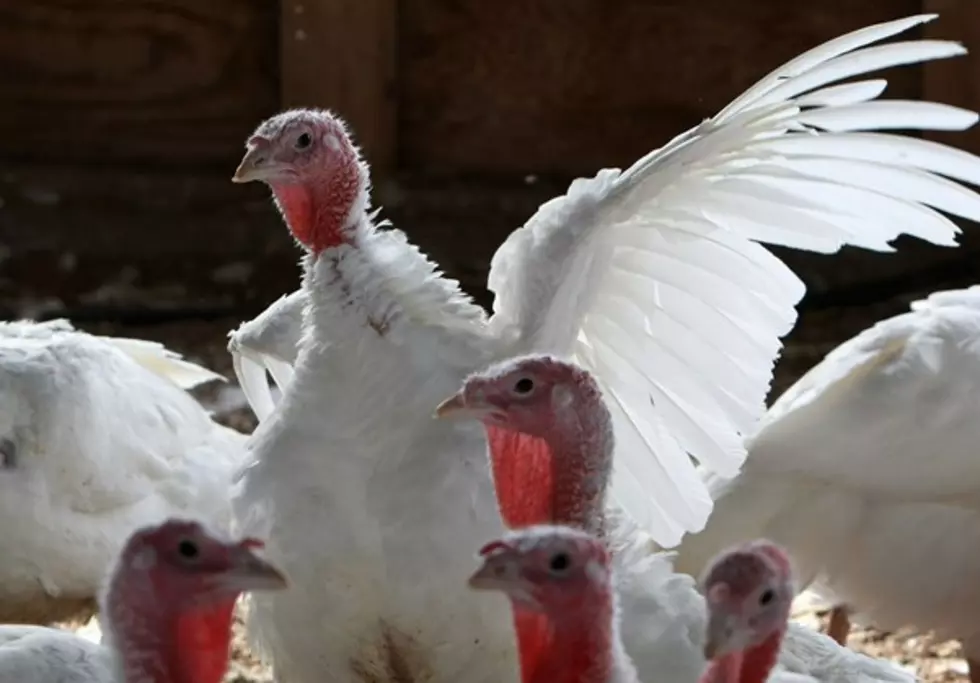 Turkey Supply Hits Lowest Level, Consider Dining At The Thanksgiving Day Buffet At The DECC