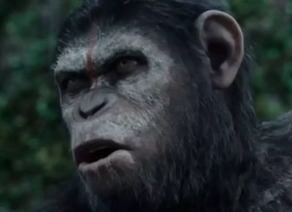 Watch The Honest Trailer For “Dawn Of The Planet Of The Apes” [VIDEO]
