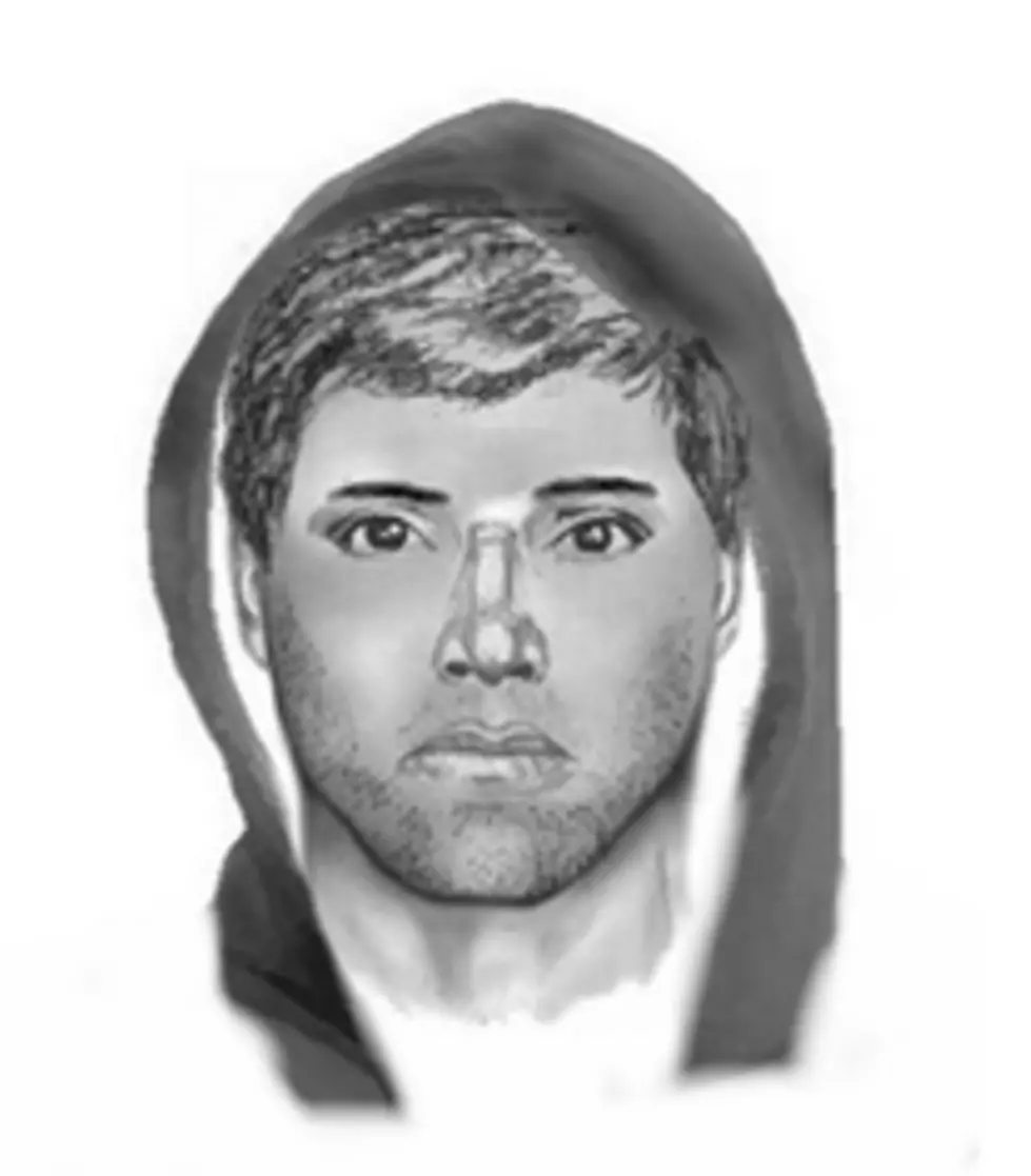 UPDATE: Carlton County Sherriff’s Office Provides A Sketch Of Man Who Assaulted A Woman Near Esko