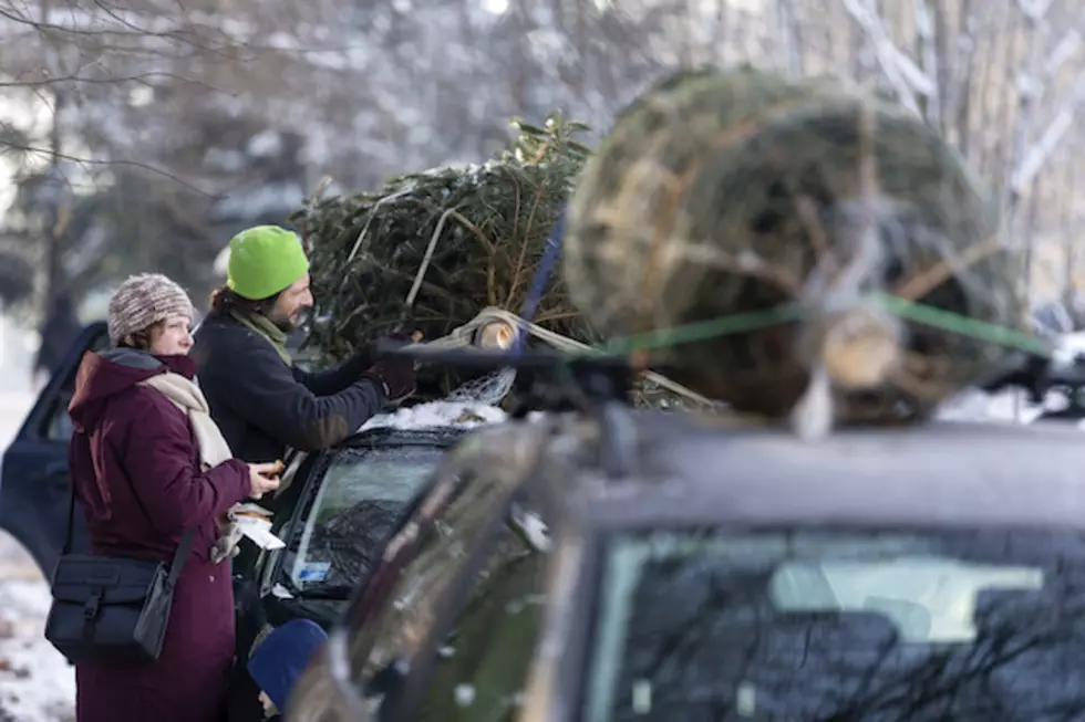 Tips To Get Your Holiday Tree Home Safely