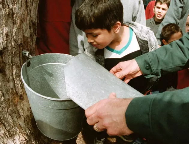 You Can Learn How to Make Pure Maple Syrup at Minnesota State Parks