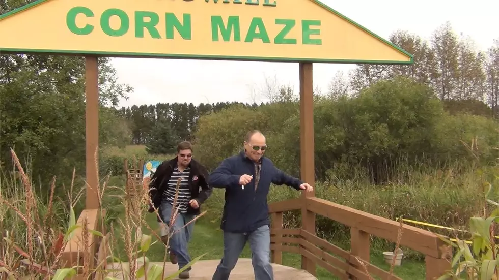 Watch Cathy Kates Get Stranded at the Engwall&#8217;s Corn Maze [VIDEO]