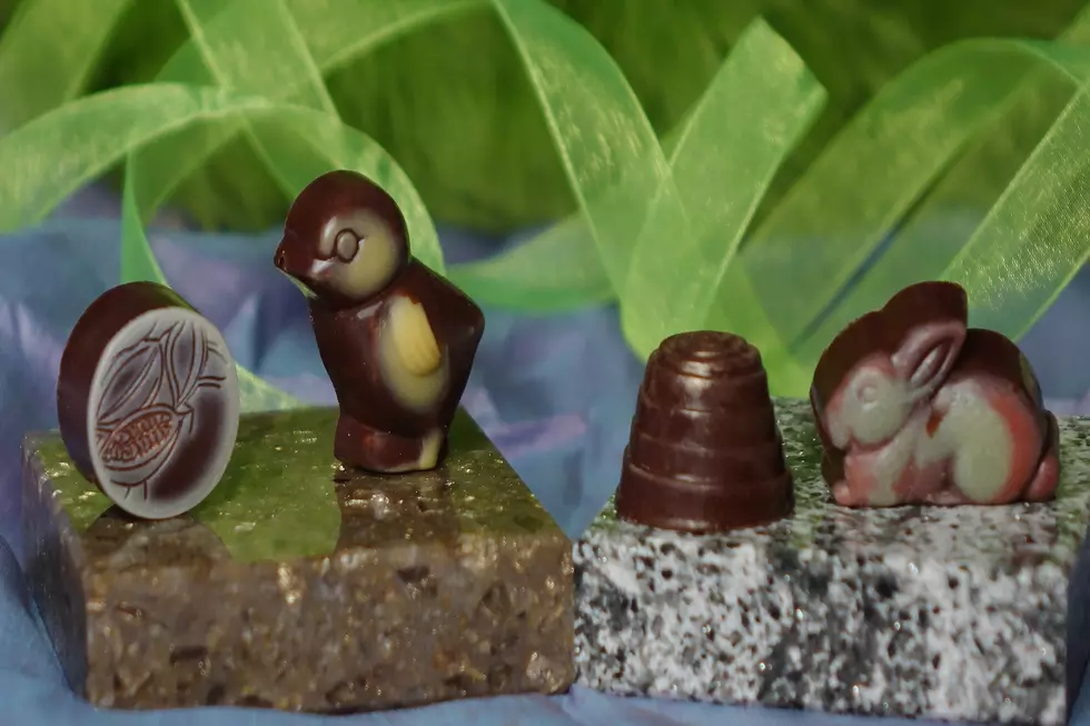 Local Chocolatier At 185 Chocolat Handcrafts Chocolates With Love From The Heart [VIDEO]