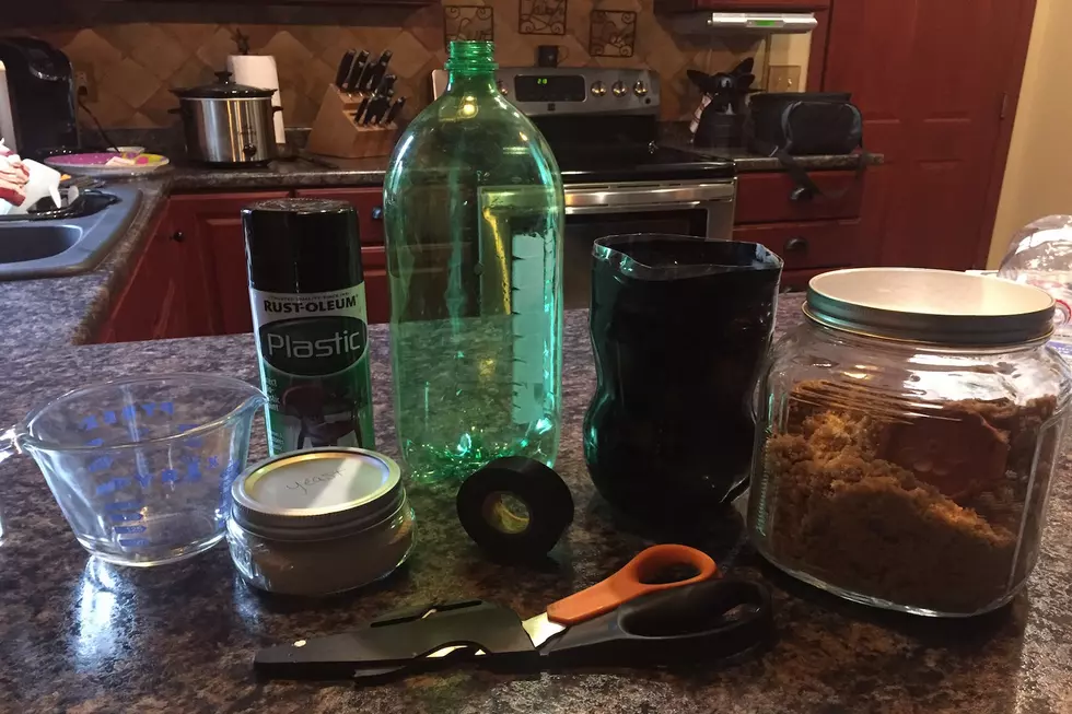 Crafting With Cathy & Kathy:  Inexpensive Homemade Mosquito Trap [VIDEO]