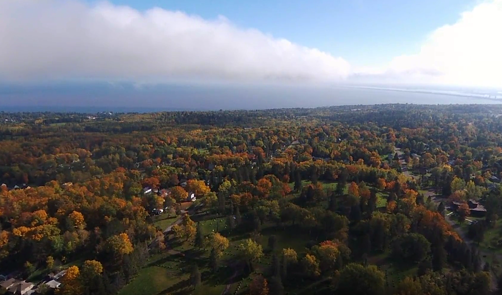 Aerial View of Peak Fall Colors