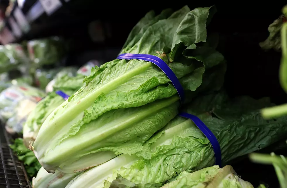 Officials Warn: Don't Eat, Throw Away All Romaine Lettuce 