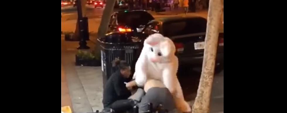 Watch the Easter Bunny Beat the Crap Out Of Some Dude [VIDEO]