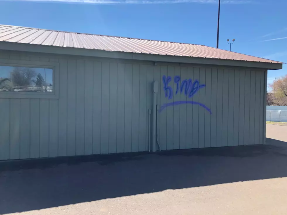 Graffiti & Crime Continue At Wade Bowl Park Again And Again