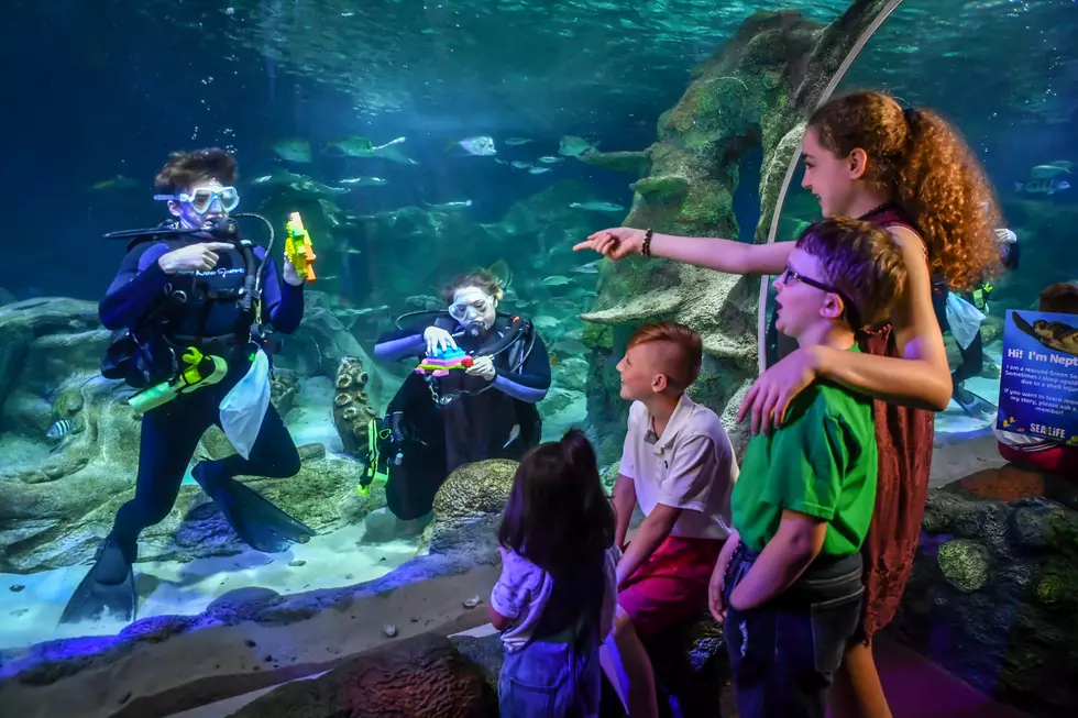 LEGO® Sea Explorers Coming To Mall Of America For Limited Time