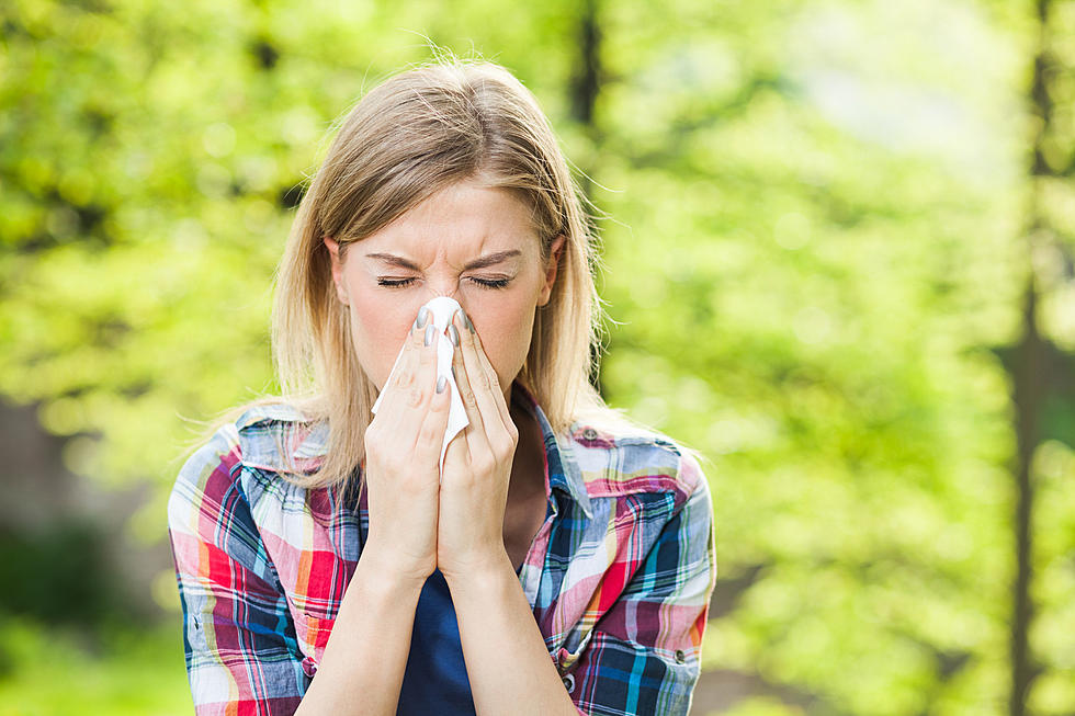 Report: Allergy Season Will Last Longer Than Usual This Year