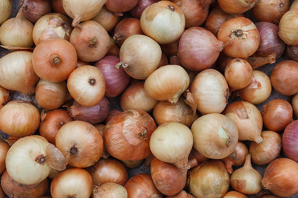 Fresh Onions Causing Salmonella Outbreaks in Minnesota + Wisconsin