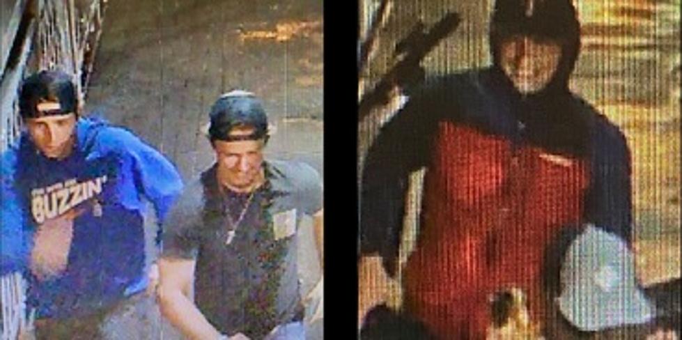 Help Duluth Police Identify 3 Males Who Threw A Scooter Off Aerial Lift Bridge