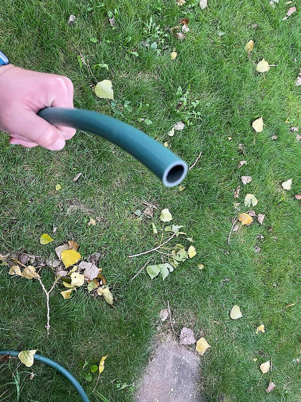 Did Someone Cut Your Garden Hose? Here’s Probably Why