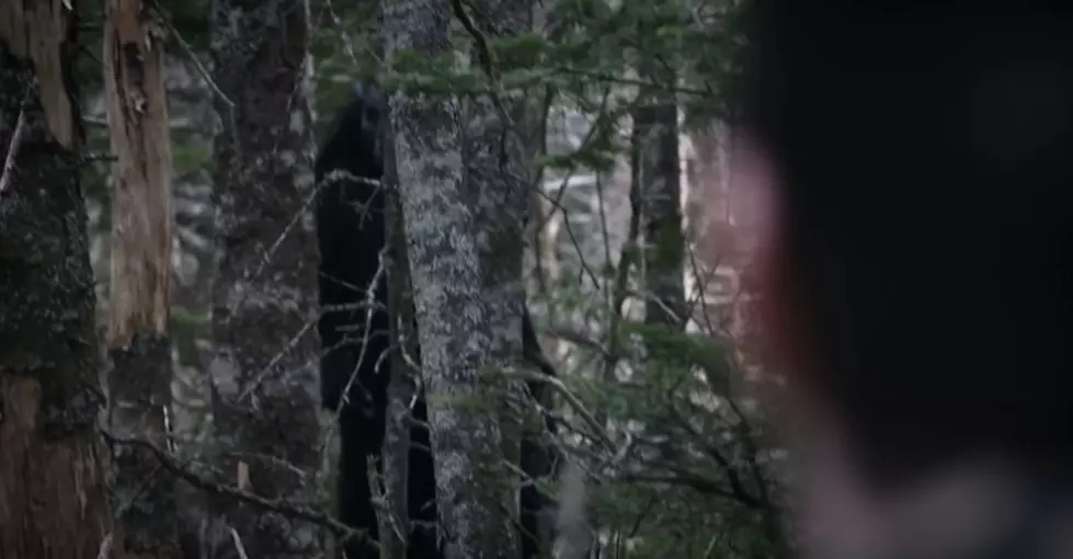 Werewolves In Wisconsin? Man Tells Fantastic Story Of Encountering A ‘Dogman’ In Woods Near Siren