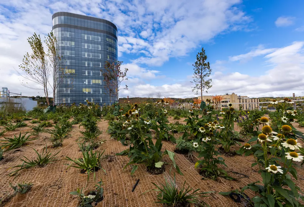 New St. Mary’s Medical Center in Duluth To Feature Rooftop Garden