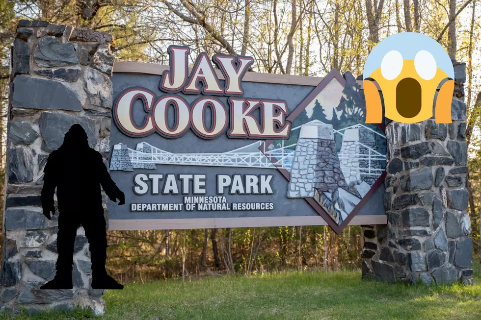 Woman Reports Bigfoot Encounter In Jay Cooke State Park
