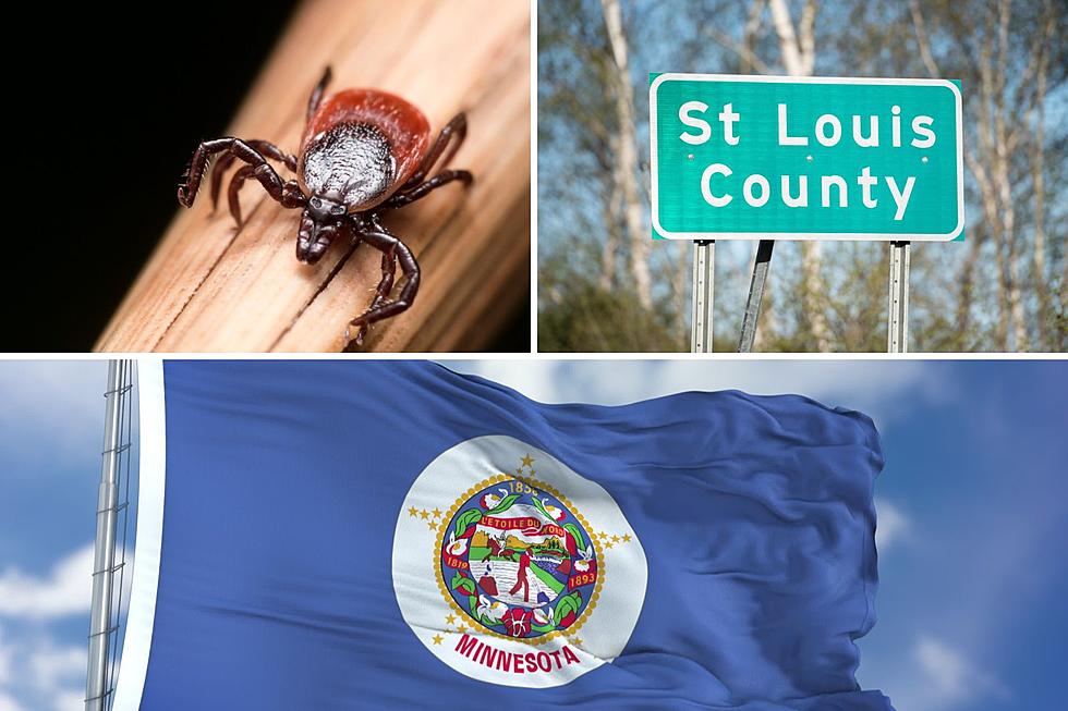 These 10 Minnesota Counties Have The Most Confirmed Cases Of Lyme Disease