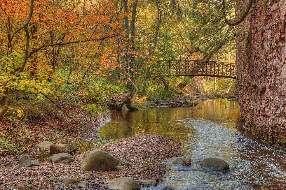 Minnesota Named One Of The Best Spots To Visit This Fall