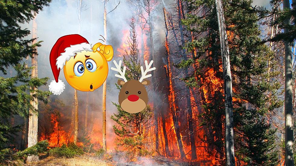 Minnesota DNR Issues Rare December Wildfire Warning