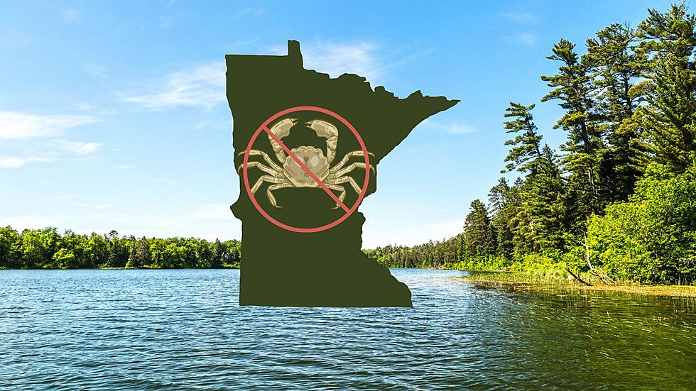 Minnesota DNR Classifies 13 Invasive Plants + Animals As Prohibited