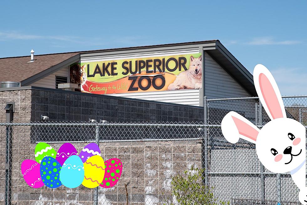 Lake Superior Zoo Eggstravaganza Event Back This Month