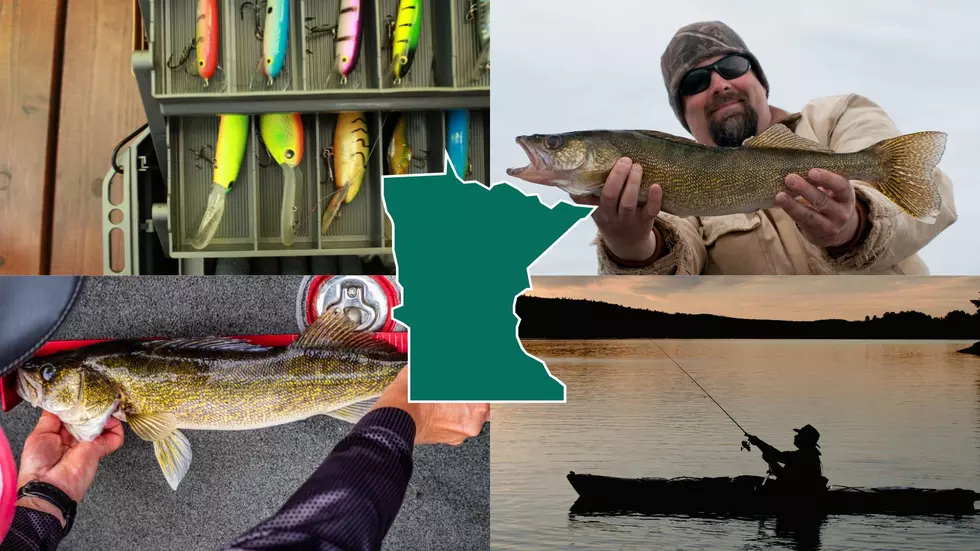 Timely Minnesota Fishing Statistics That Will Blow Your Mind