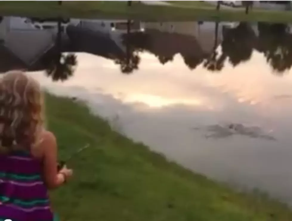 Alligator Steals Fish From Little Girl [VIDEO]