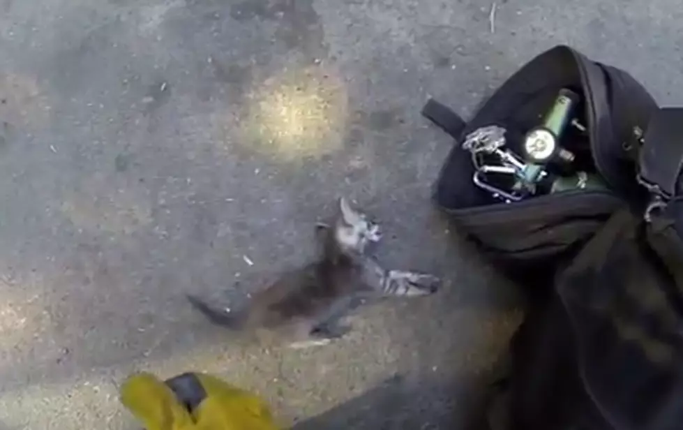 Fireman Resuscitates Cat, GoPro View