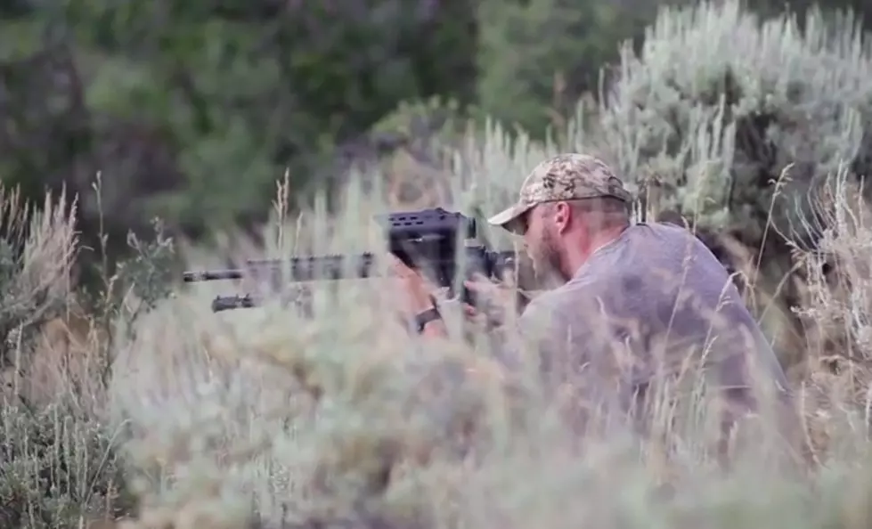 Never Miss Your Target With This Firearm [WATCH]