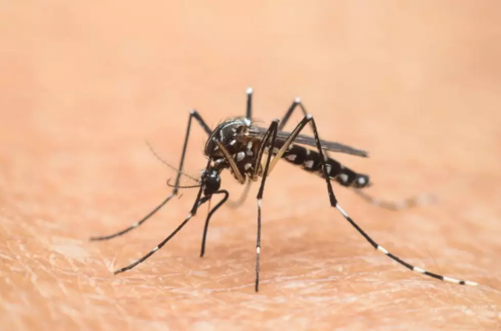 Zika Cases Rising in Texas